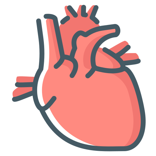 Cardiology
